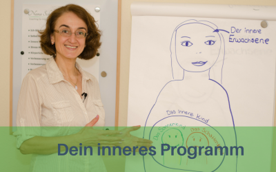 Lerne Dein inneres Programm kennen